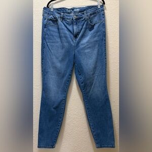 Torrid, EXCELLENT CONDITION, Trio High Rise Skinny Jeans, 16R-20R